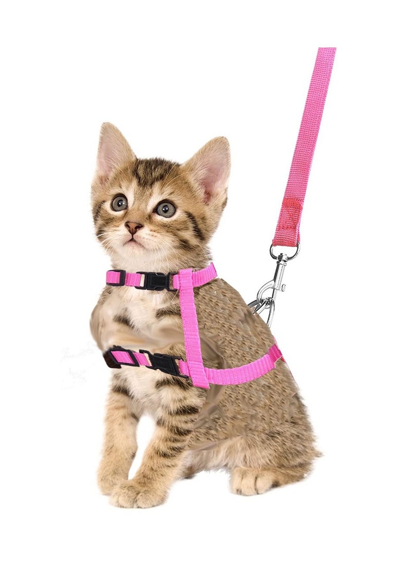 Y&D Cat Traction Rope Walking Anti-Breaking Special Chain - Image 2