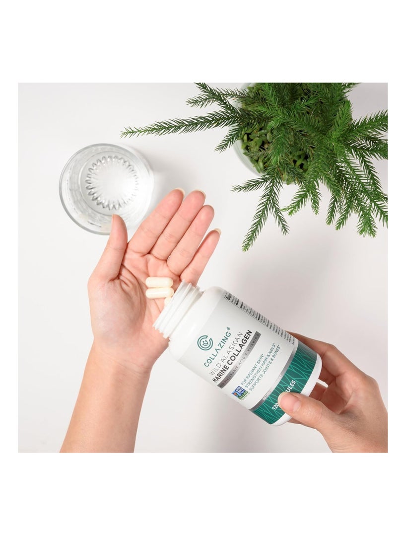 C COLLAZING ببتيدات الكولاجين البحري المستخرج من الألاسكا + حمض الهيالورونيك + فيتامين C لبشرة وشعر وأظافر جميلة 120 كبسولة - Image 2