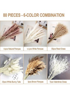 Generic 80 Pcs Dried Pampas Grass Dried Flowers Of Small Reeds Boho Natural Flowers Arrangements White Reed Bunny Tails for Home Decor Flower Living Room Balcony Wedding Party 