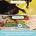 Glo Pals Alex Bath Bedtime Bundle Light Up Bath Toy with 1 Interactive Book 2 Light Cubes 1 Magic Magnifier Toddler Bath Toys Set with Storybook Character Educational Kids Bath Time Fun - Image 4