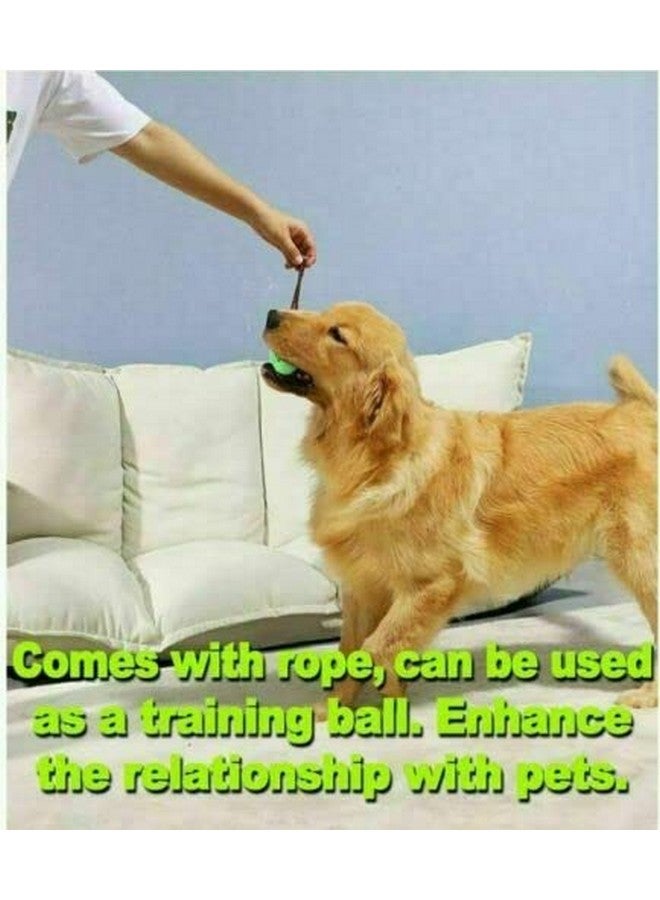 Interactive Food Dispensing Chewable Light Rugby Ball Design Pet, Natural Rubber Squeaky Pet Playing Toys For Dogs, Puppies And Cat Pack Of 1 (Color As Per Availability) - Image 3