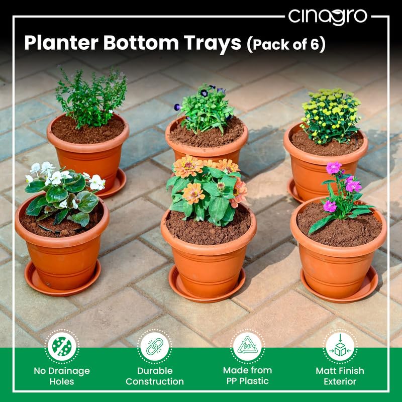 Cinagro UV Treated 5.5 Inch Round Bottom Trays - Pack of 6, Fits 6 inch Round Pots, Gamla Saucer Plate, Durable Planter Drip Trays for Pots, Round Water Collection Plate for Indoor & Outdoor Plants - Image 2