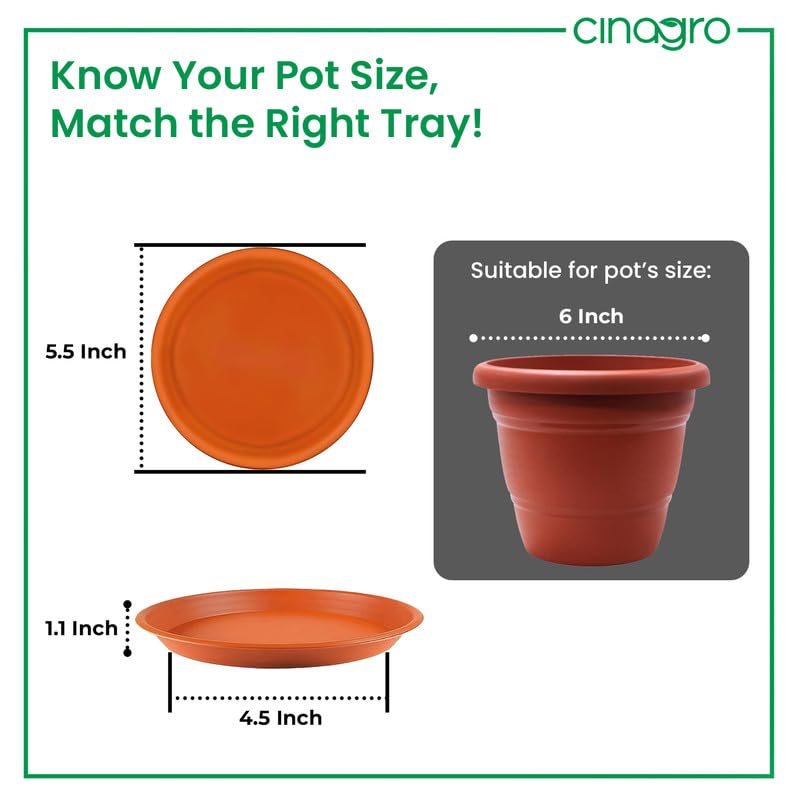 Cinagro UV Treated 5.5 Inch Round Bottom Trays - Pack of 6, Fits 6 inch Round Pots, Gamla Saucer Plate, Durable Planter Drip Trays for Pots, Round Water Collection Plate for Indoor & Outdoor Plants - Image 3