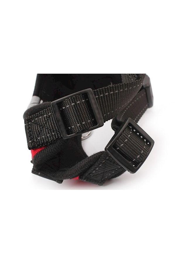 NIBEMINENT Pet Chest Harness Blue/Black - Image 3