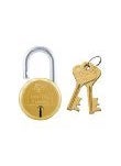 Godrej Locking Solutions and Systems Godrej Locks I Navtal 7 levers 65 mm I 2 Keys I Padlock for Main Door I Gate Lock I Lock for Tool Box Shutters Shops Offices I Strong Hardened Corrosion Resistant Shackle I Brass Finish 