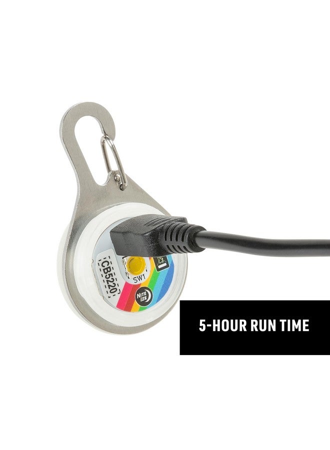 نايت آيز مصباح طوق نايت إيزي سبوتليت القابل لإعادة الشحن - مصباح ديسكو كارابينر لأطواق الكلاب - قابل لإعادة الشحن مع سلسلة مفاتيح من الفولاذ المقاوم للصدأ - طوق كلب متوهج للسلامة - مجوهرات ديسك-أو التقنية - Image 5