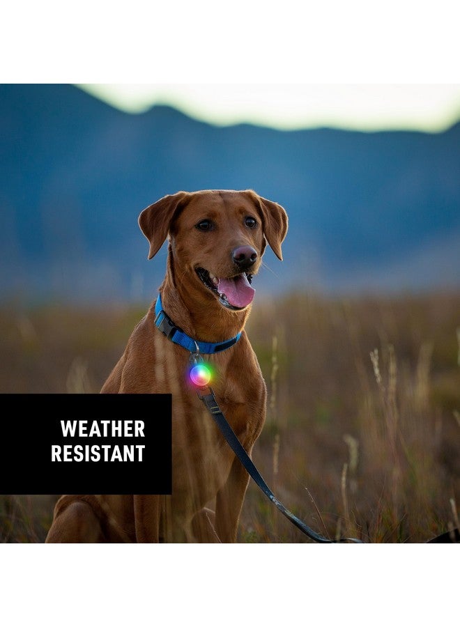 نايت آيز مصباح طوق نايت إيزي سبوتليت القابل لإعادة الشحن - مصباح ديسكو كارابينر لأطواق الكلاب - قابل لإعادة الشحن مع سلسلة مفاتيح من الفولاذ المقاوم للصدأ - طوق كلب متوهج للسلامة - مجوهرات ديسك-أو التقنية - Image 4