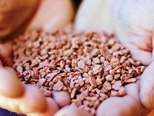 Easy Peasy All- Natural Muriate of Potash | Potassium Fertilizer with 0-0-60 Analysis Plant Food for All Indoor and Outdoor Plants Nutrient Yards in GRANULAR Form - Image 2