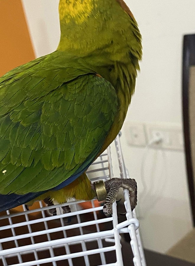 Gorilla pets Metal Bird Ring Multicolor for Cockatiels Set of 4 - Image 4