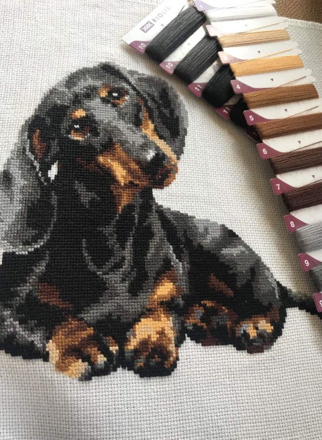 Riolis 906 - Dachshund - Counted Cross Stitch Kit 9¾" x 9¾" Zweigart 15 ct. White AIDA 11 Colors - Image 2
