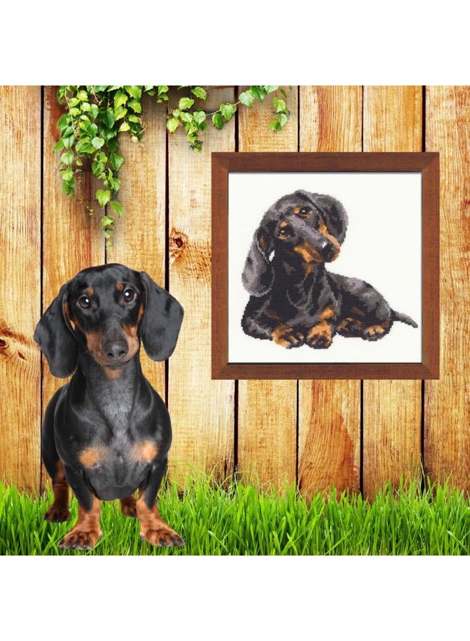 Riolis 906 - Dachshund - Counted Cross Stitch Kit 9¾" x 9¾" Zweigart 15 ct. White AIDA 11 Colors - Image 4