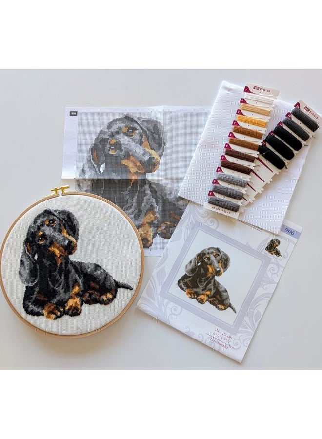 Riolis 906 - Dachshund - Counted Cross Stitch Kit 9¾" x 9¾" Zweigart 15 ct. White AIDA 11 Colors - Image 5