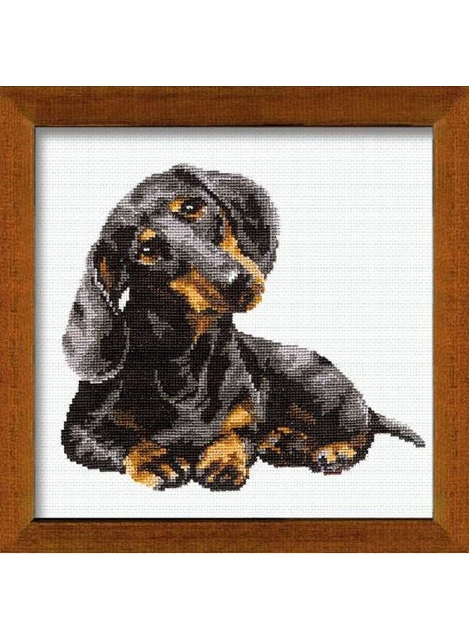 Riolis 906 - Dachshund - Counted Cross Stitch Kit 9¾" x 9¾" Zweigart 15 ct. White AIDA 11 Colors - Image 1