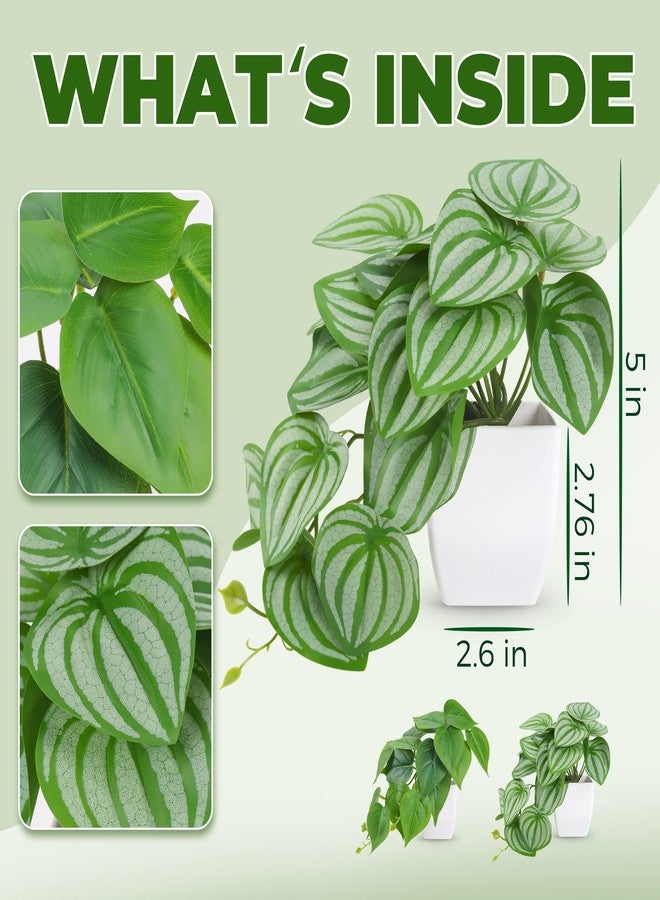 Der Rose 2Pcs Small Fake Plants Artificial Mini Faux Plants for Bathroom Office Desk Shelf Table Accessories Decor Indoor - Image 2
