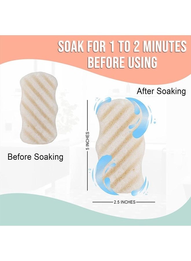pureSOL - Pure SOL. Konjac Exfoliating Bath Sponge - Original Exfoliator Sponge – Konjac Sponge for Sensitive Skin - Deep Cleansing, Clean Pores, Remove Impurities - 100% Natural and Good for All Skin Types - Image 1