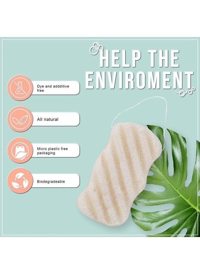 pureSOL - Pure SOL. Konjac Exfoliating Bath Sponge - Original Exfoliator Sponge – Konjac Sponge for Sensitive Skin - Deep Cleansing, Clean Pores, Remove Impurities - 100% Natural and Good for All Skin Types - Image 1