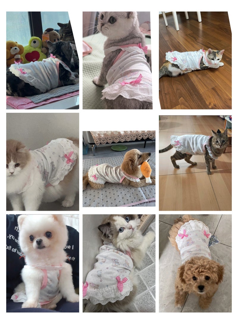 A.M Pet clothes spring and summer style light and comfortable small and medium-sized pets universal lace skirt Maltese Bichon - Image 5