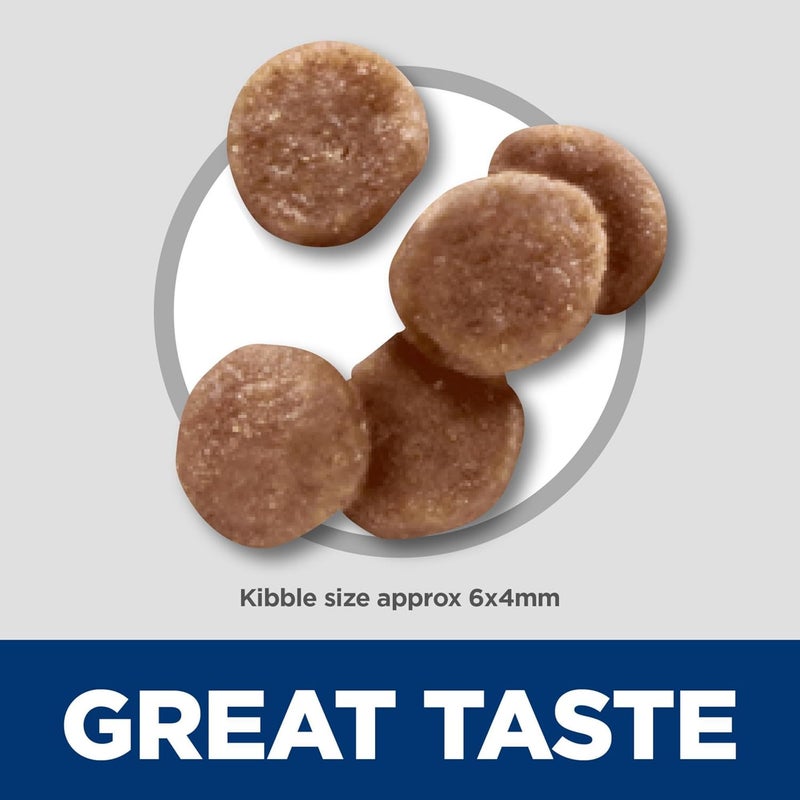 Hills هيلز ساينس دايت كيتن طعام جاف للقطط بنكهة الدجاج 7 رطل - Image 3