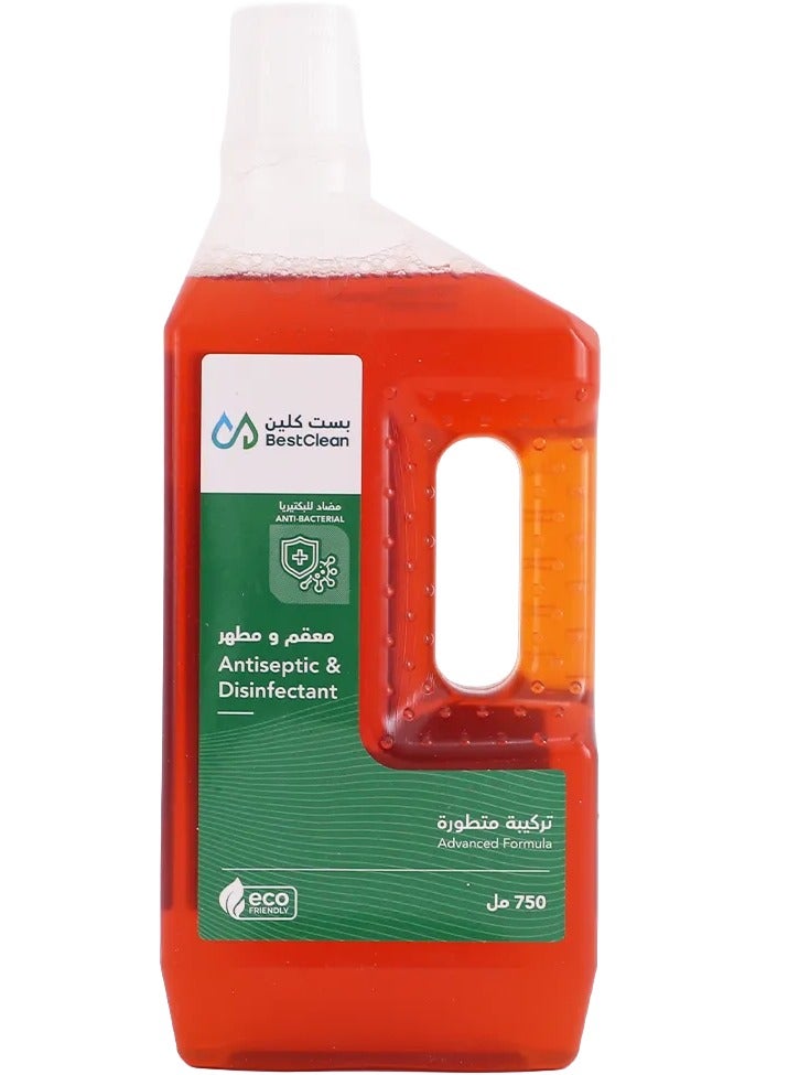 Best Clean Antibacterial Sanitizer and Disinfectant 750ml - Image 1