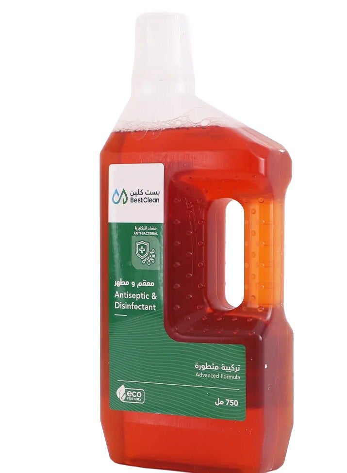Best Clean Antibacterial Sanitizer and Disinfectant 750ml - Image 2