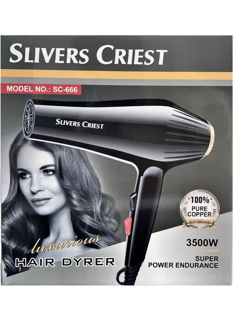 3500W Professional Hair Dryer and Straightener Set with High-Speed Brushed Motor, 220V Standard Plug, Black/Gold