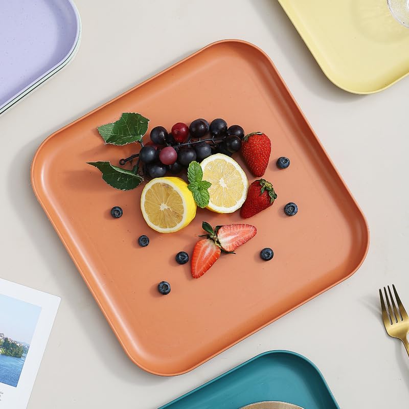 RoarCraft Wheat Straw Plates - 11 Inch Reusable Hard Dinner Plates Set of 2 - Unbreakable Microwave Safe Plates for Dessert, Camping, RV, Outdoors,Lunch,Kitchen Dishes(Orange, 29 CM, Set of 2) - Image 4