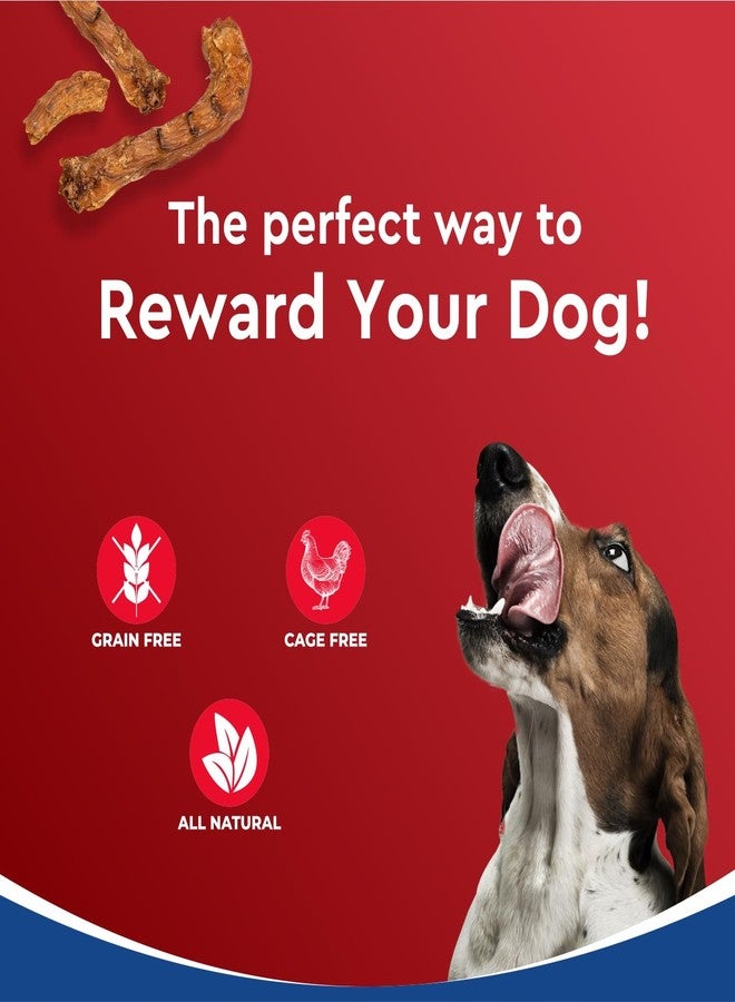 Drools All Life Stages Dog Treats, Dehydrated Chews Necks, 450g | Real Chicken Flavour | Vital Nutrients | Digestive Health | Protein-Packed | Tasty & Nutritious | No Artificial Colours - Image 4
