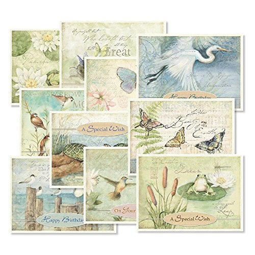 Current Nature's Sanctuary Happy Birthday Greeting Card Set - Value Pack of 20 Cards With White Envelopes, 10 Designs, Large 5" x 7" Assortment - Image 1