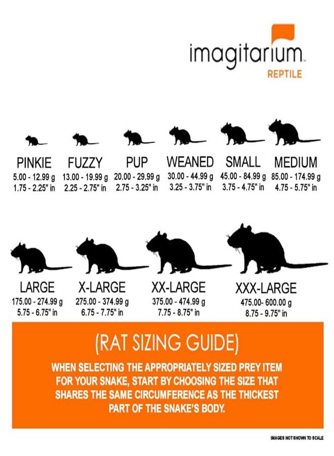 imagitarium Frozen Large Rat, Count of 10 - Image 3