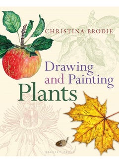Drawing and Painting Plants