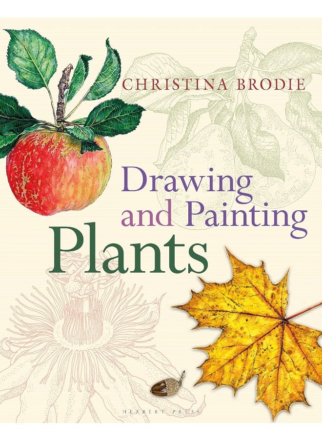 null - Drawing and Painting Plants - Image 1
