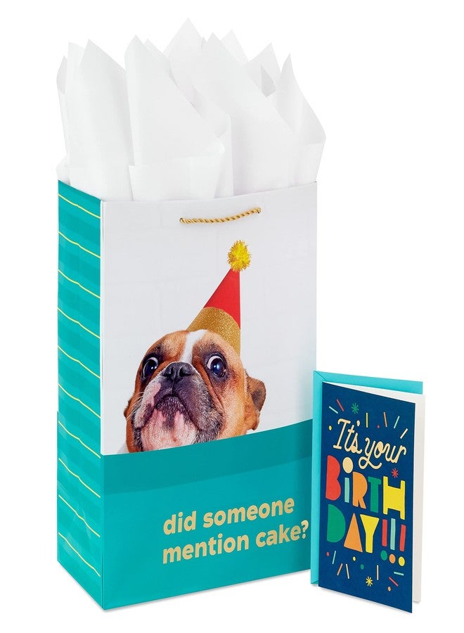 Hallmark 13" Large Birthday Gift Bag with Birthday Card and Tissue Paper (Dog, Did Someone Mention Cake?) for Kids, Parents, Coworkers, Friends - Image 1