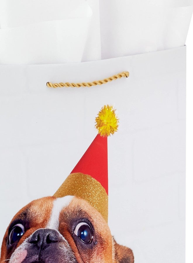 Hallmark 13" Large Birthday Gift Bag with Birthday Card and Tissue Paper (Dog, Did Someone Mention Cake?) for Kids, Parents, Coworkers, Friends - Image 5