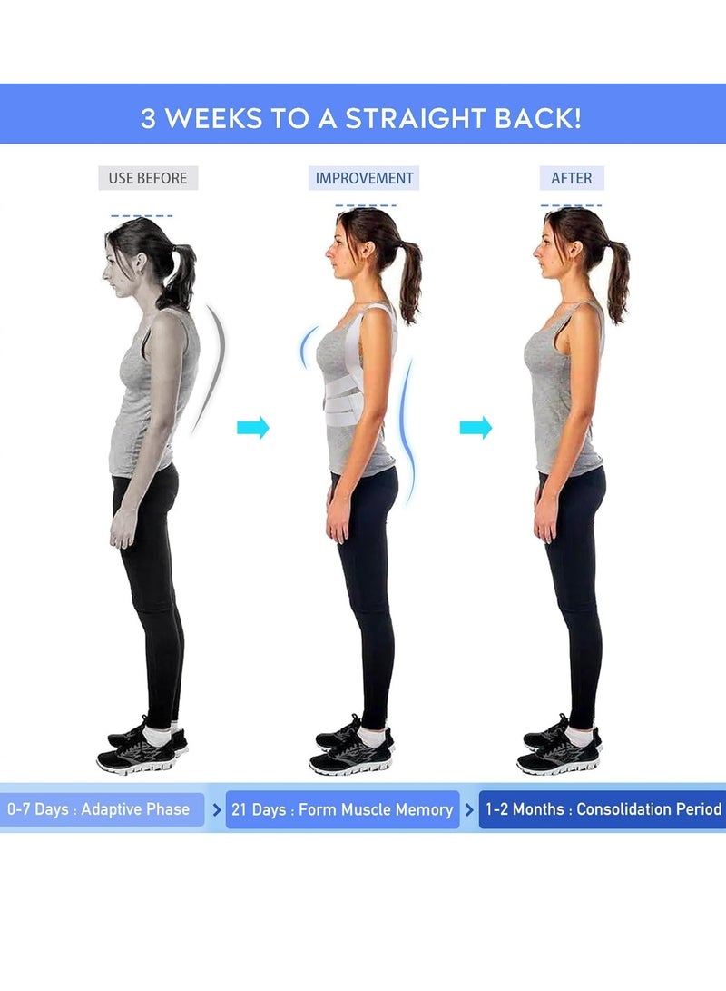 كاست ويف جهاز تصحيح الموقف ( 37-42 بوصة كبيرة ) للنساء مرة أخرى دعم - Image 5