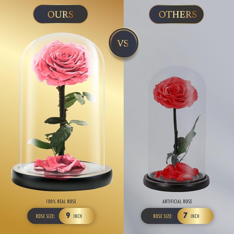 LOVAPPY Forever Preserved Rose - Eternal Rose in Glass Dome - Beauty and The Beast Rose for Mom - Fresh Flowers for Delivery Prime (Pink, 9 Inch) - Image 3