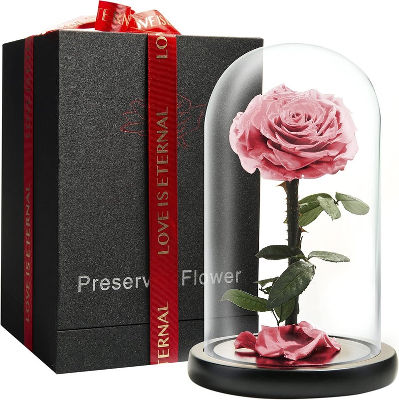LOVAPPY Forever Preserved Rose - Eternal Rose in Glass Dome - Beauty and The Beast Rose for Mom - Fresh Flowers for Delivery Prime (Pink, 9 Inch) - Image 1