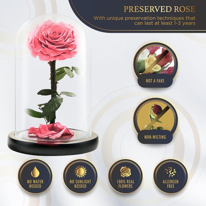 LOVAPPY Forever Preserved Rose - Eternal Rose in Glass Dome - Beauty and The Beast Rose for Mom - Fresh Flowers for Delivery Prime (Pink, 9 Inch) - Image 2