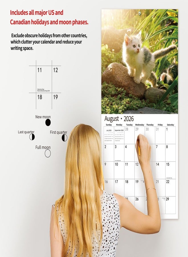 windrio 2026 Wall Calendar,Calendar 2026, November 2025 - December 2026, Wall Calendar Cat Kitten, 12" X 24" Opened,Full Page Months Thick & Sturdy Paper for Calendar Organizing & Planning - Image 5