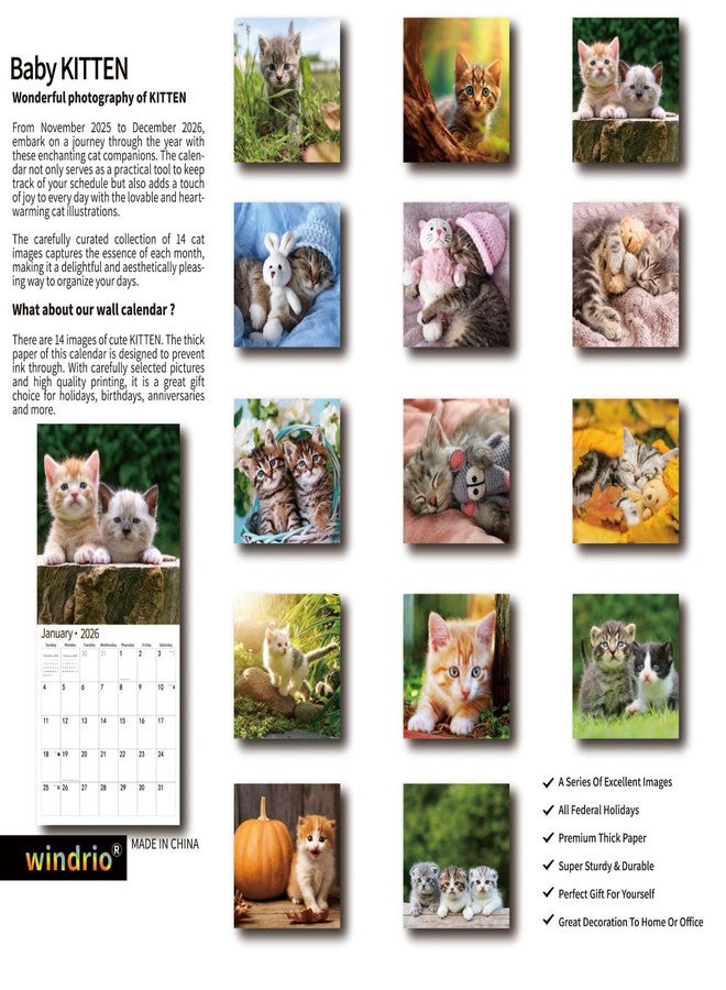 windrio 2026 Wall Calendar,Calendar 2026, November 2025 - December 2026, Wall Calendar Cat Kitten, 12" X 24" Opened,Full Page Months Thick & Sturdy Paper for Calendar Organizing & Planning - Image 2