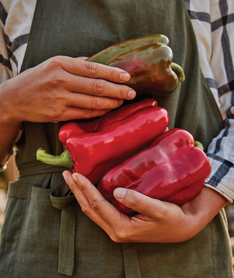 Burpee Great Stuff Sweet Pepper Seeds 40 seeds - Image 5