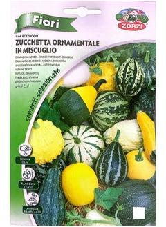 ZORZI Decorative Pumpkin Seeds 