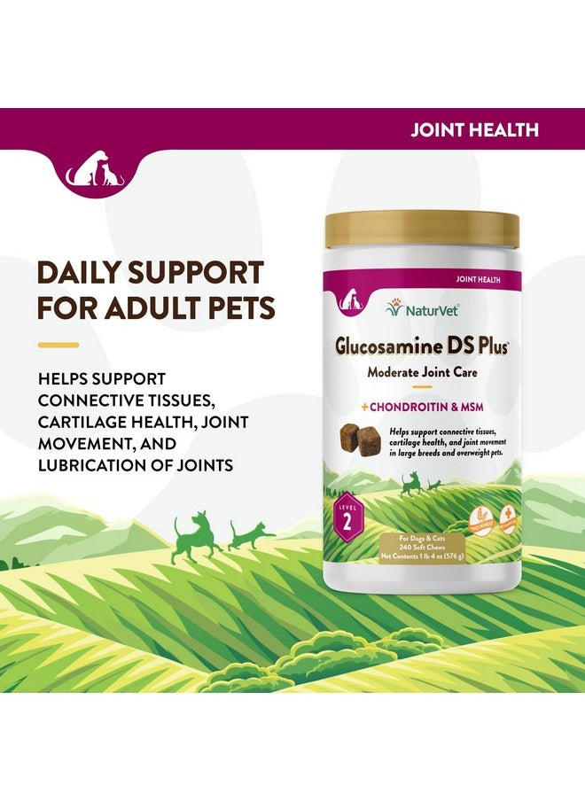 NaturVet - Glucosamine DS Plus - Level 2 Moderate Care - Supports Healthy Hip & Joint Function - Enhanced with Glucosamine, MSM & Chondroitin - for Dogs & Cats - 240 Soft Chews