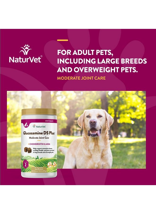 NaturVet - Glucosamine DS Plus - Level 2 Moderate Care - Supports Healthy Hip & Joint Function - Enhanced with Glucosamine, MSM & Chondroitin - for Dogs & Cats - 240 Soft Chews