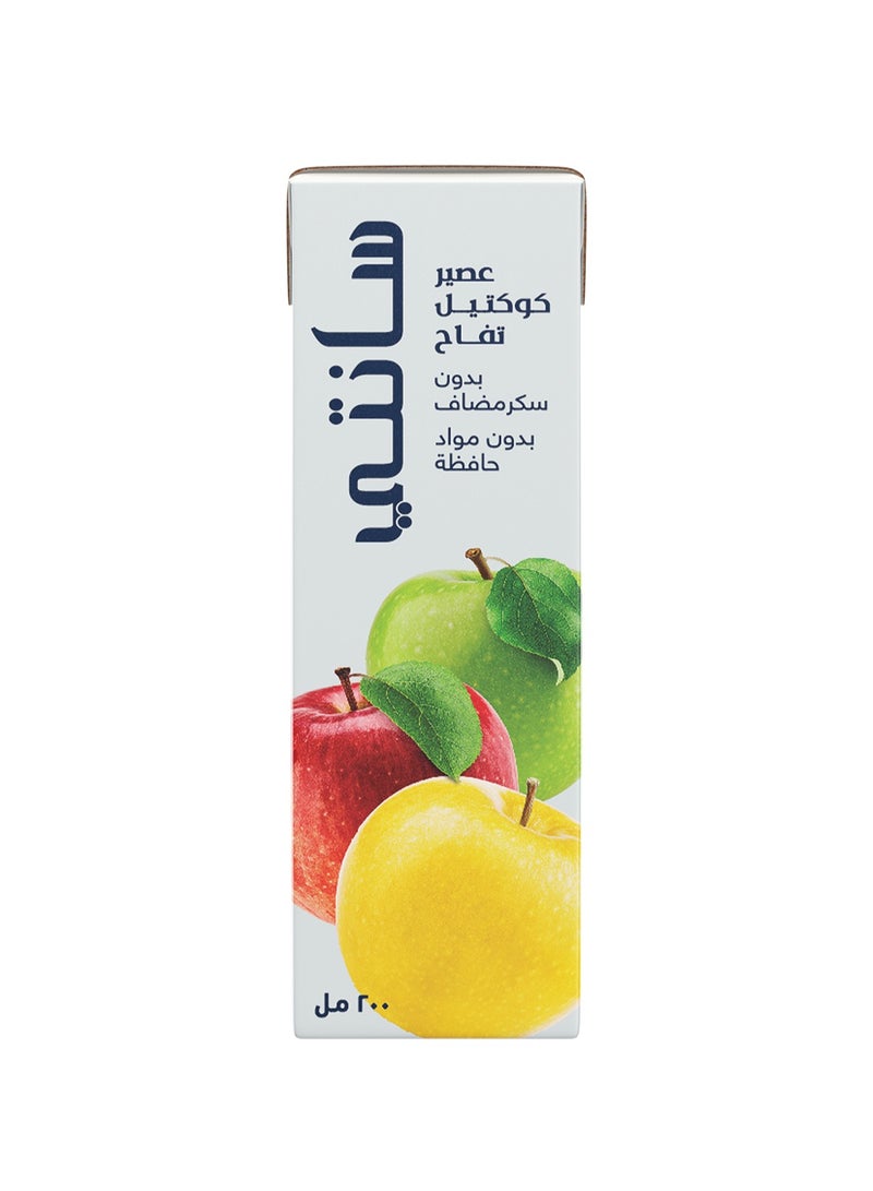 Santè Zero Sugar Premium Apple Cocktail Juice 200mlx24 - Image 2