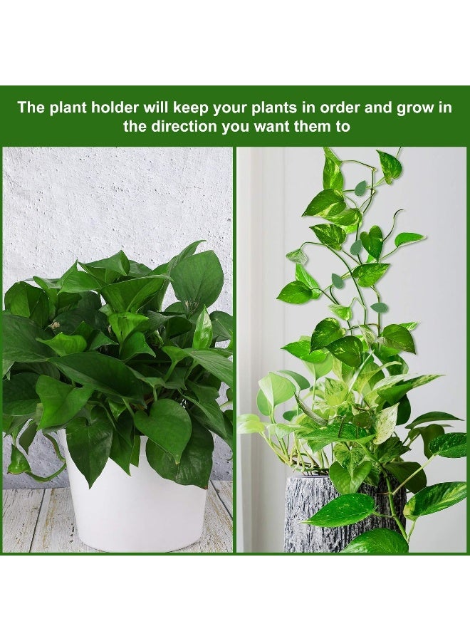 Geiserailie 60 Pieces Plant Climbing Wall Fixture Clips With 72 Pieces Acrylic Adhesive Sticker Plant Fixer Invisible Wall Vines Fixing Clips Self-Adhesive Hook Plant Vine Traction For Indoor Outdoor Decoration  - Image 3