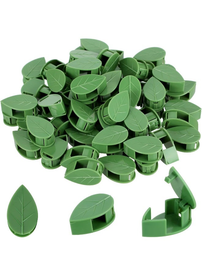 Geiserailie 60 Pieces Plant Climbing Wall Fixture Clips With 72 Pieces Acrylic Adhesive Sticker Plant Fixer Invisible Wall Vines Fixing Clips Self-Adhesive Hook Plant Vine Traction For Indoor Outdoor Decoration  - Image 4