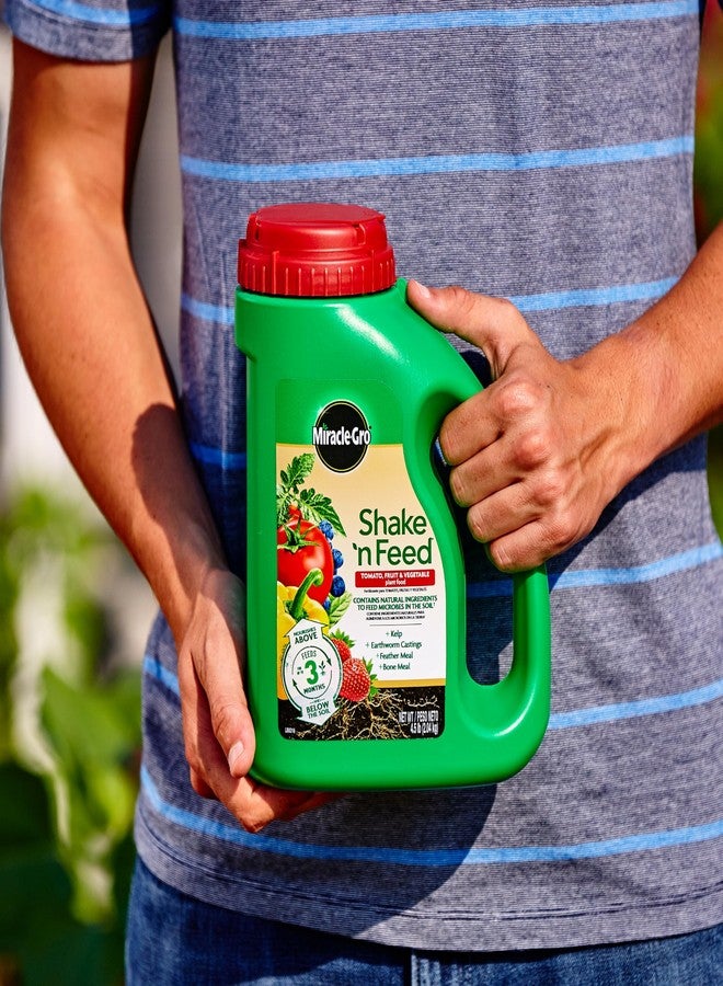 Miracle-Gro ميراكل-غرو شيك 'إن فيد طماطم، فواكه وخضروات غذاء نباتي، سماد نباتي، 4.5 رطل - Image 3