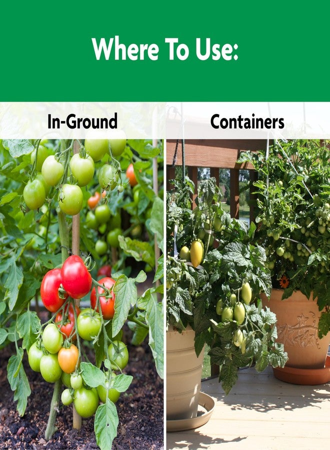 Miracle-Gro ميراكل-غرو شيك 'إن فيد طماطم، فواكه وخضروات غذاء نباتي، سماد نباتي، 4.5 رطل - Image 5