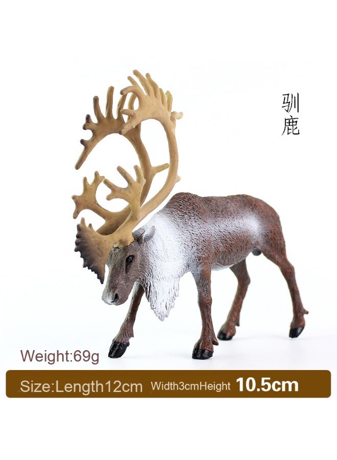 نيبمينينت نموذج حيوانات برية واقعية - ألعاب بلاستيكية من حيوانات: غور، رنة، أيل، كنغر، ذئب