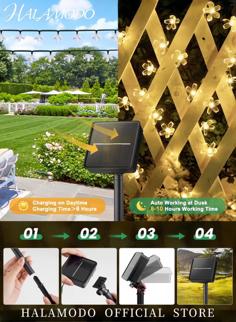 HALAMODO Waterproof Cherry Blossom Corded Solar String Lights Yellow/Black 7meter  - Image 3